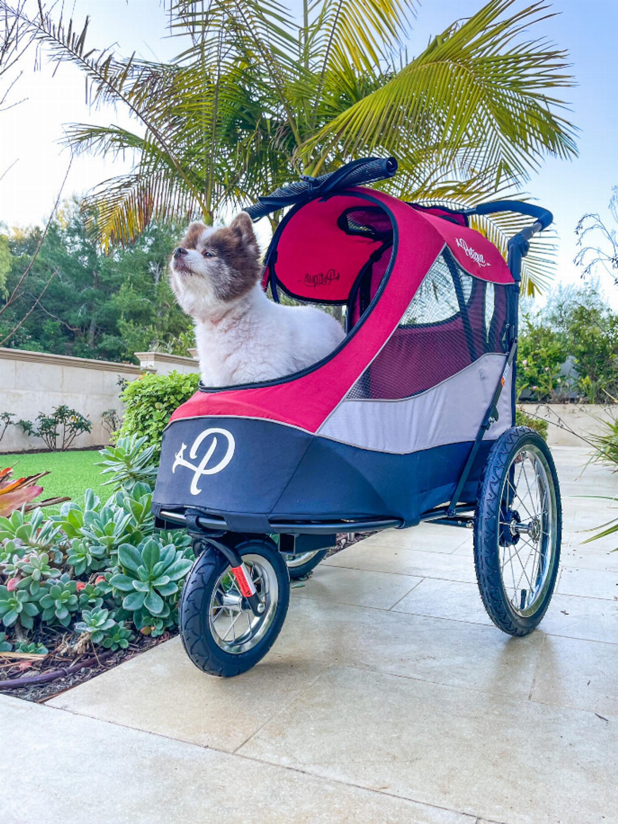 Trailblazer Pet Jogger Image 1