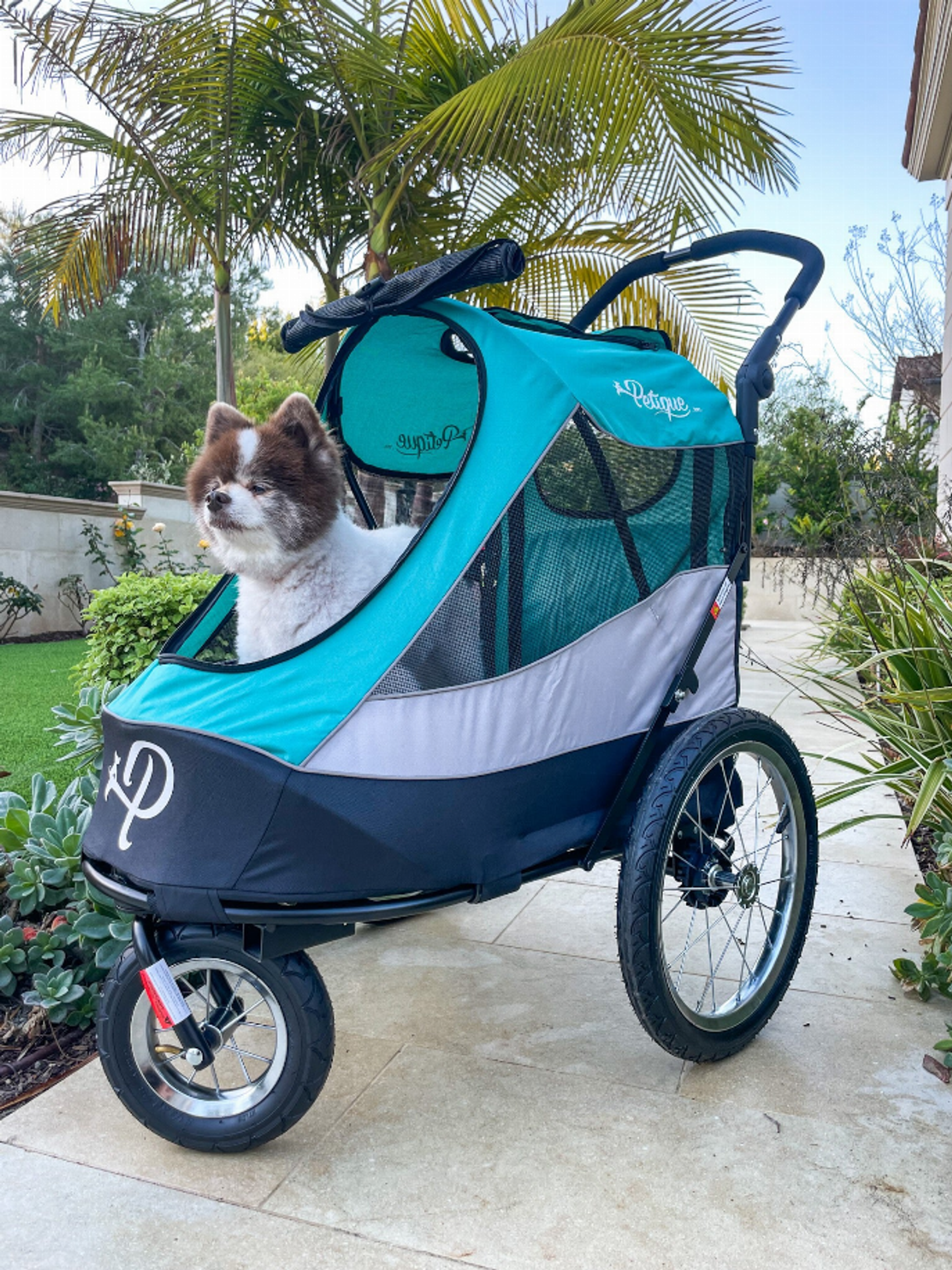 Trailblazer Pet Jogger Image 1