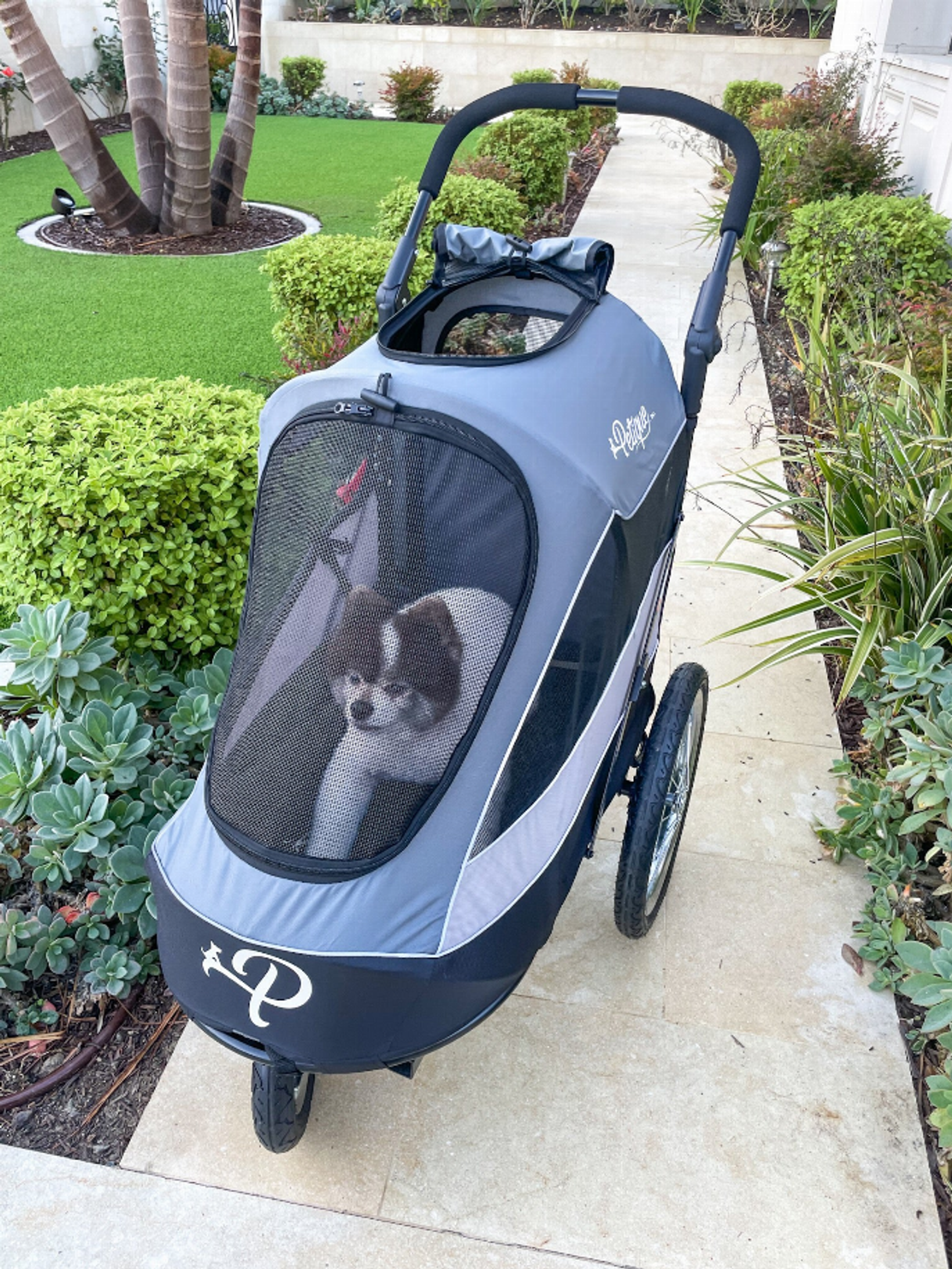 Trailblazer Pet Jogger Image 1
