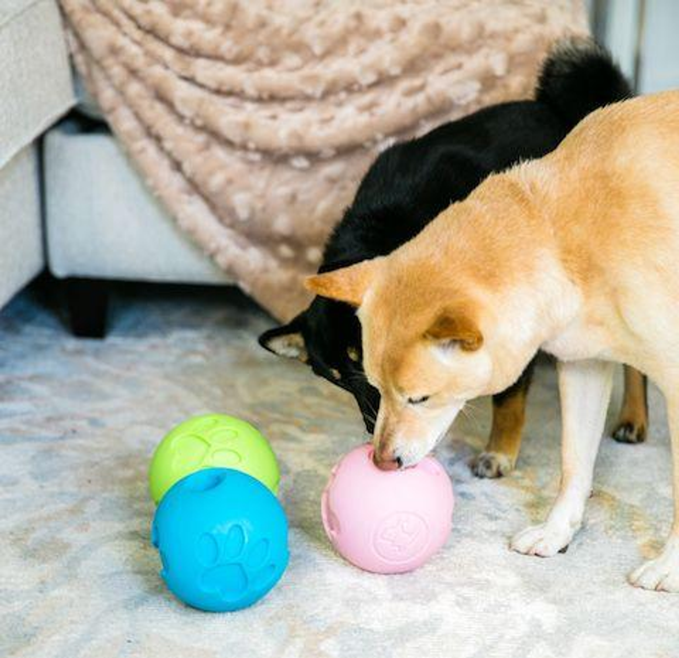 Paw Me! Treat Ball Dispenser Image 1