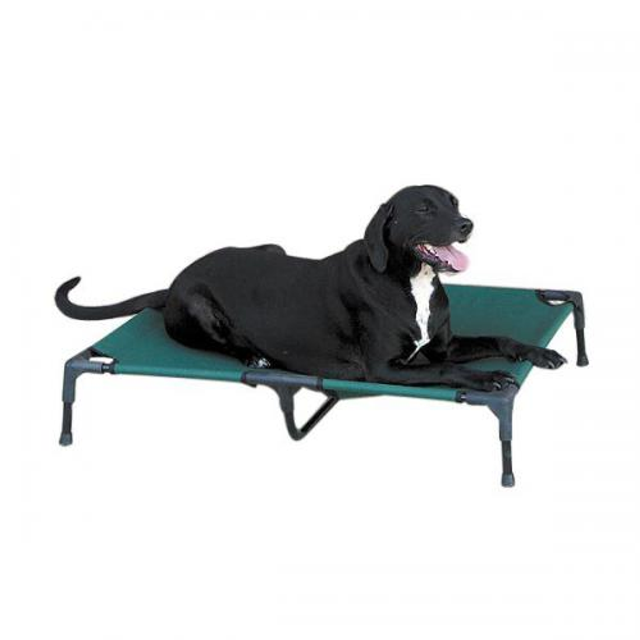 Guardian Gear Pet Cot Image 1