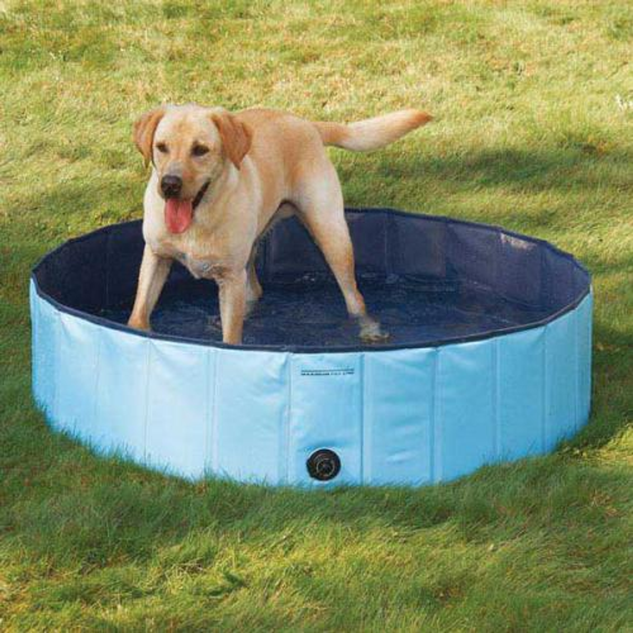 Cool Pup Splash About Dog Pool Image 1