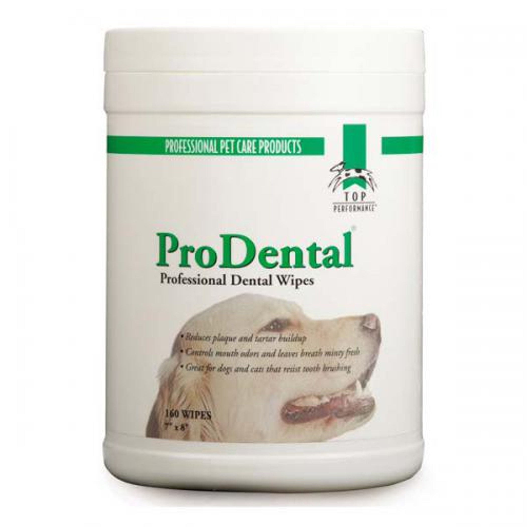 TP Dental Wipe 160Pk Canister Image 1