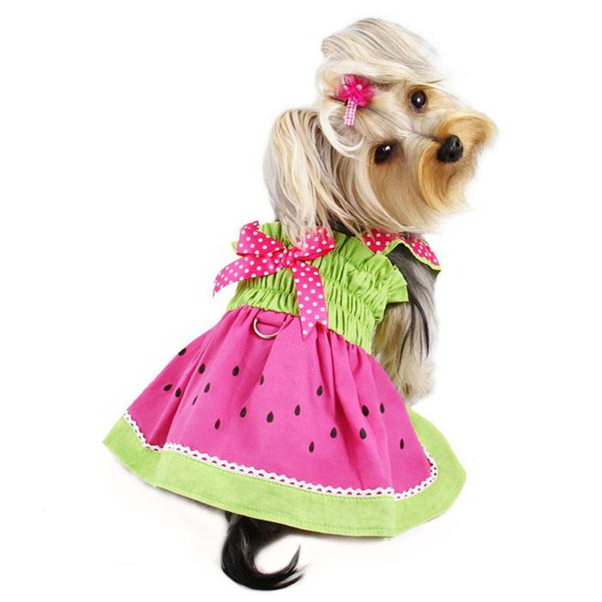 Juicy Watermelon Sundress with Large D-ring Image 1