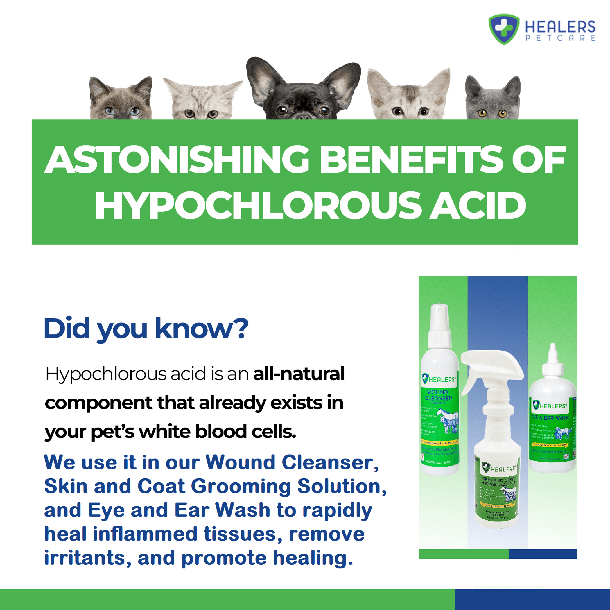 Grooming Spray Skin & Coat Natural Solution Detoxifying Agent Hypochlorous Acid 18 Month Shelf Life No Rinsing Needed