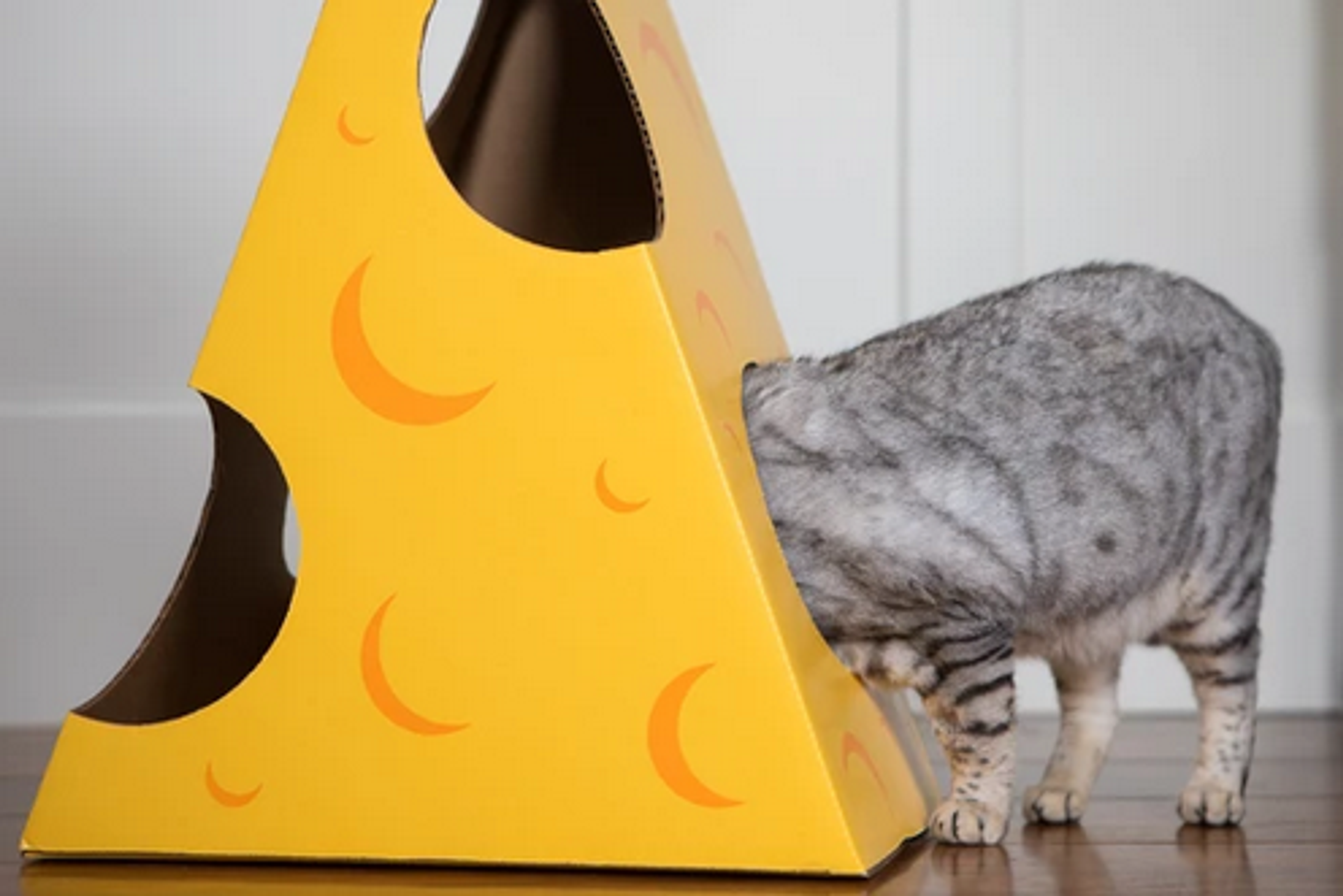 Monster Cheese Wedge Cardboard Cat House Image 1