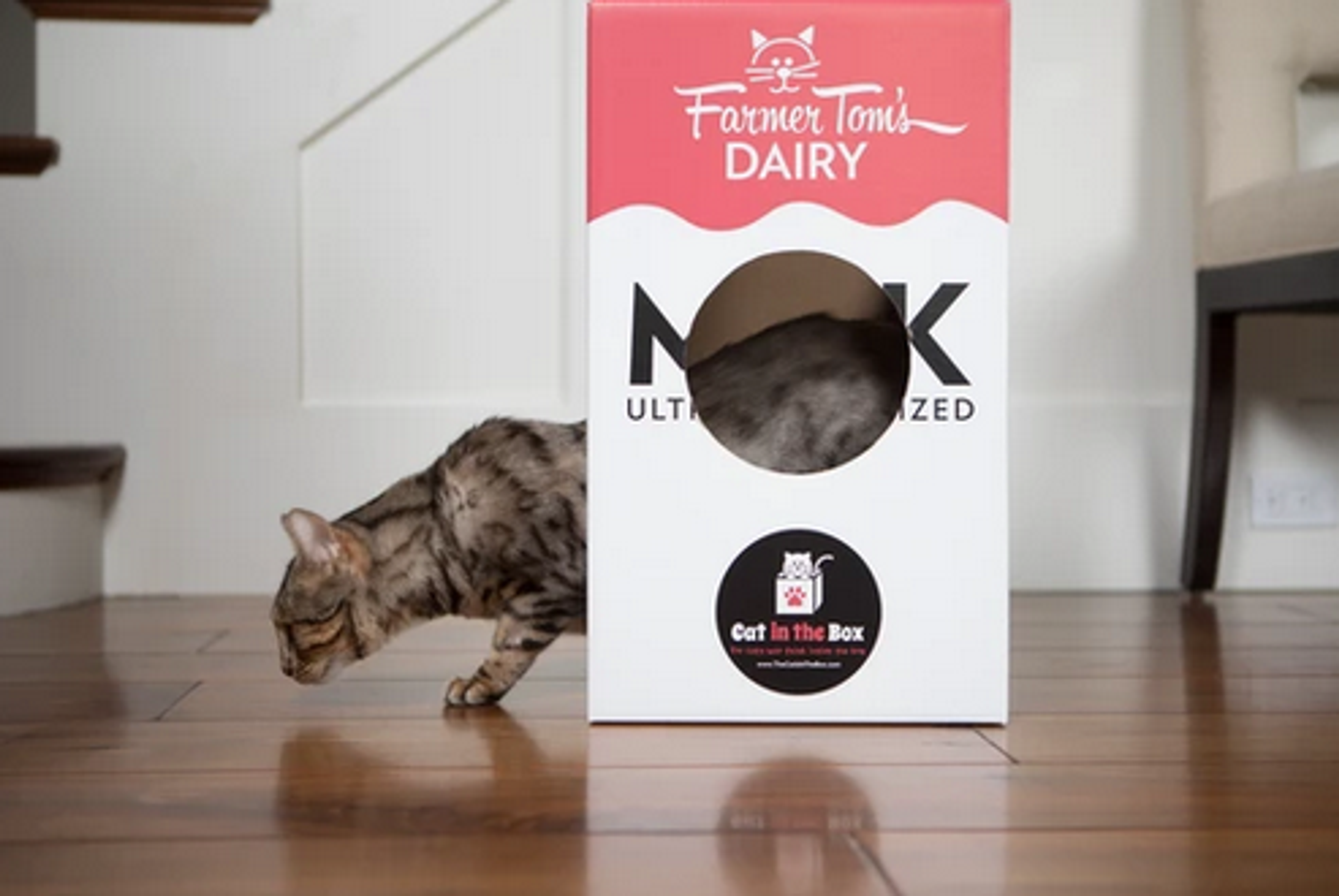 Mega Milk Carton Cardboard Cat House Image 1