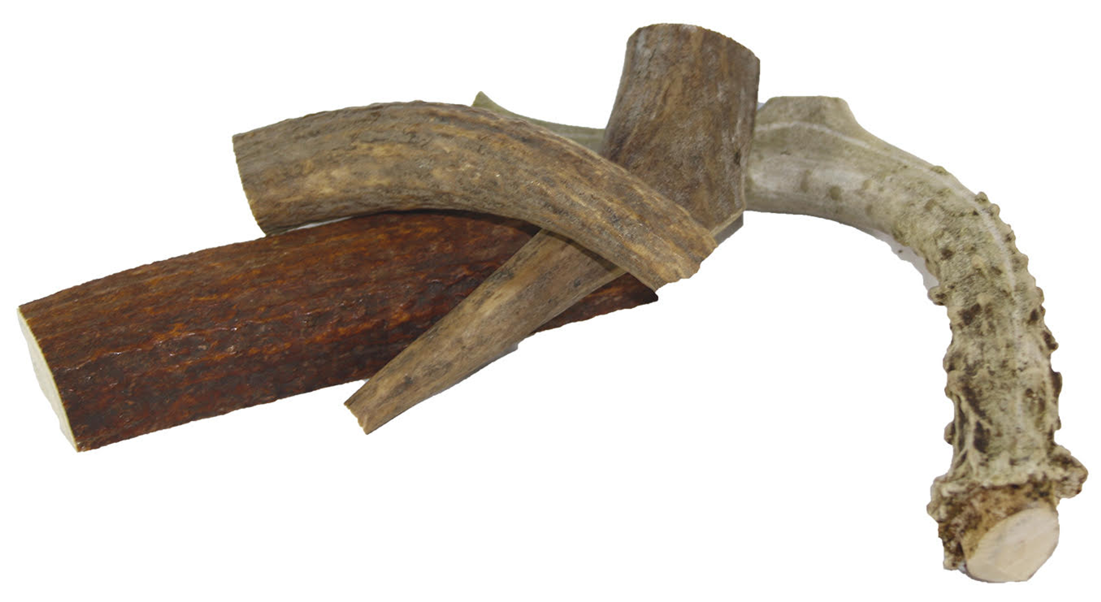 Deer Antler - 6 oz Image 1