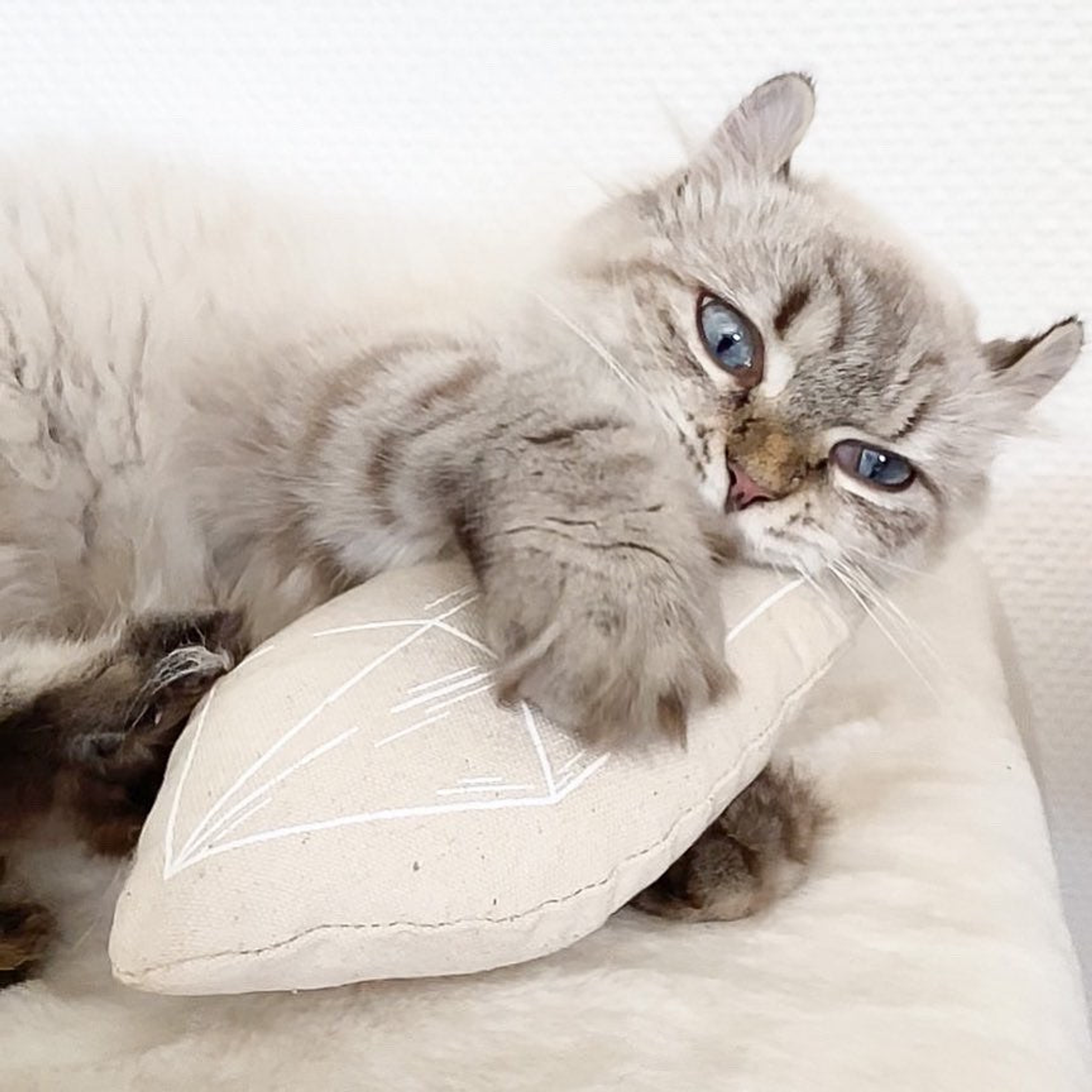 Cat Toy Stress Relieving Catnip Toy 100 Percent Cotton For Cats 100 Grams Designed in Los Angeles Helps Calm Anxiety