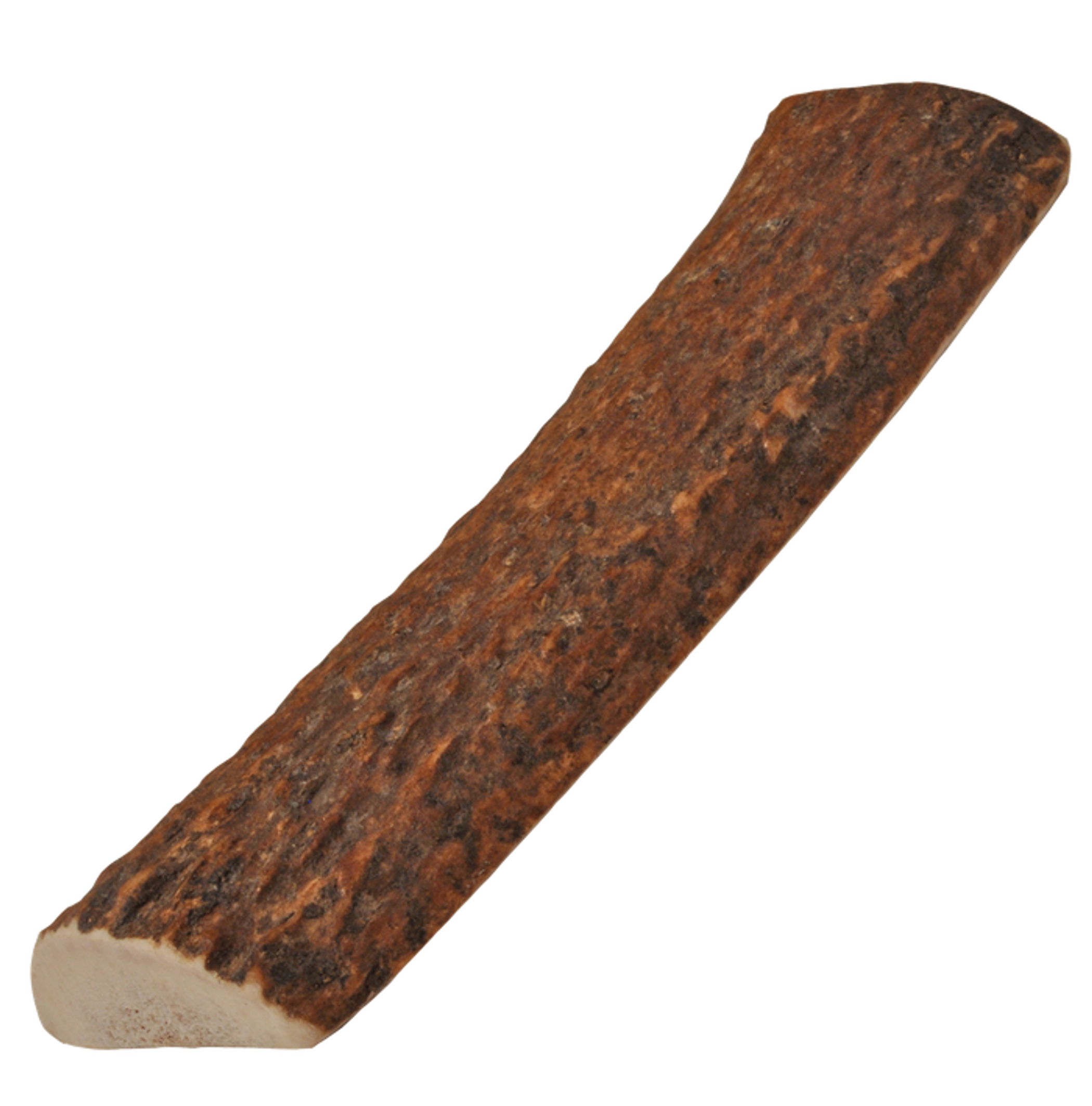 Natural Elk Antlers Image 1