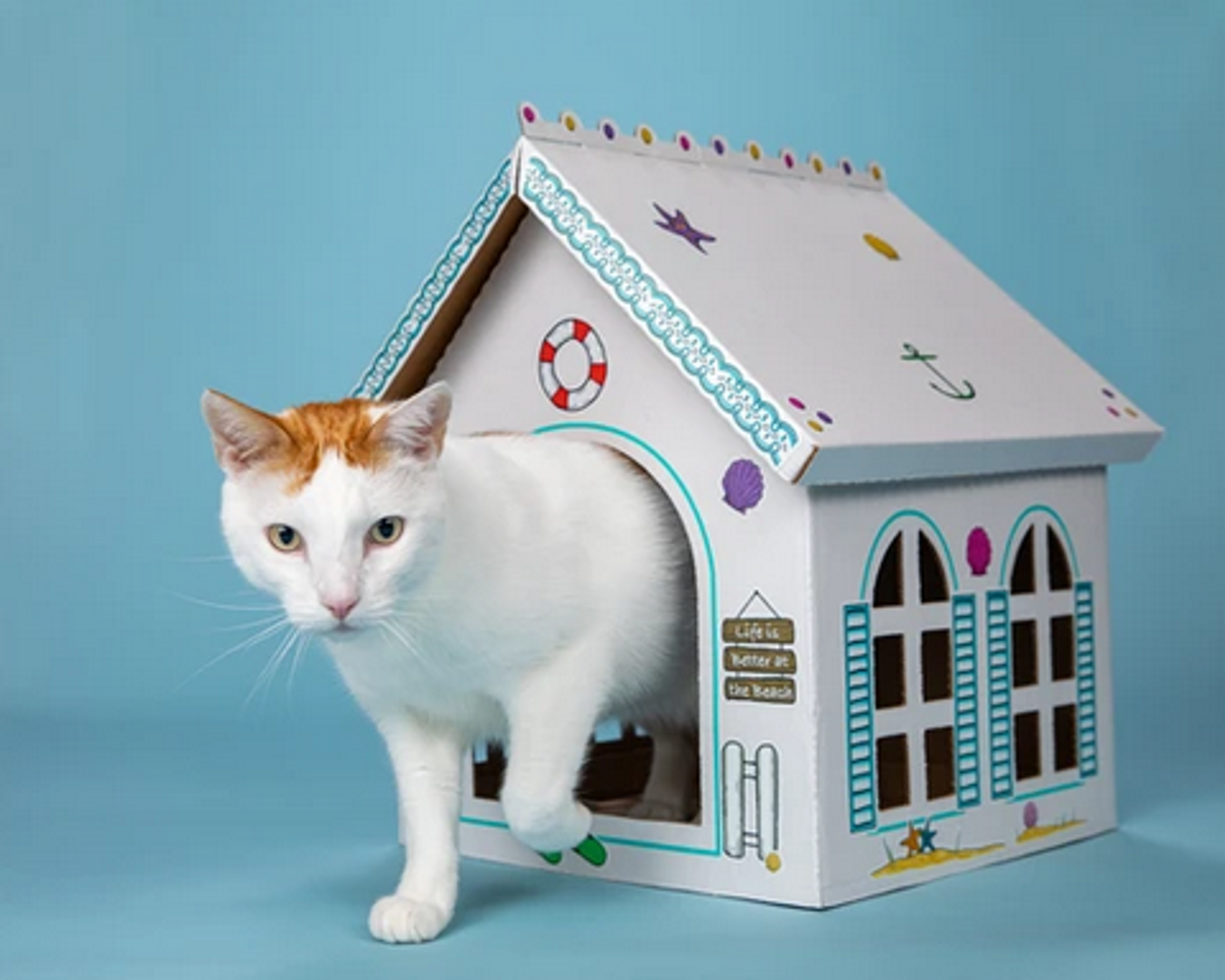 Breezy Beach Cottage Cardboard Cat Playhouse (Pack of 5) Image 1