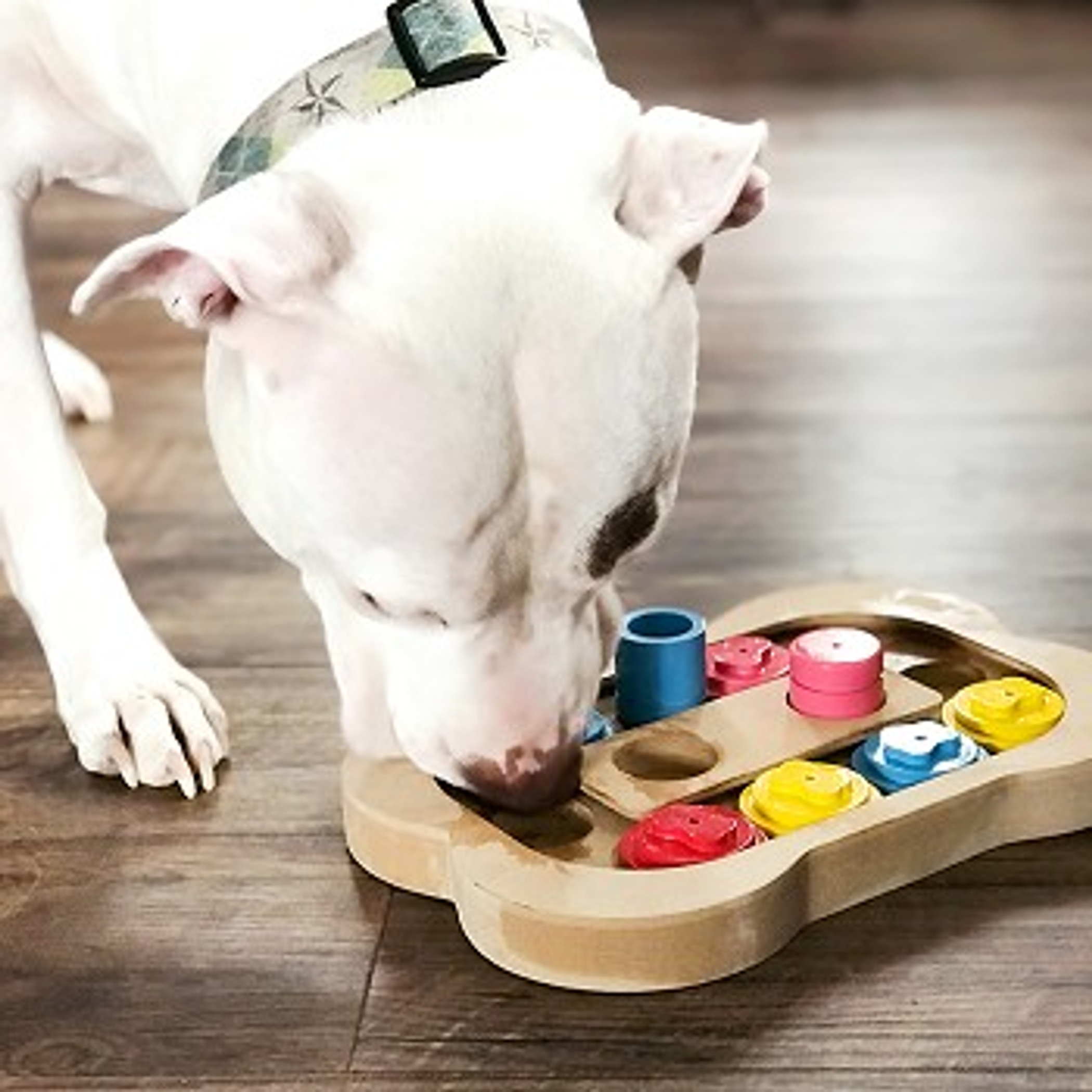 Pet Toy Interactive Busy Bone Mental Stimulation Engaging Activity Multiple Treats Hidden