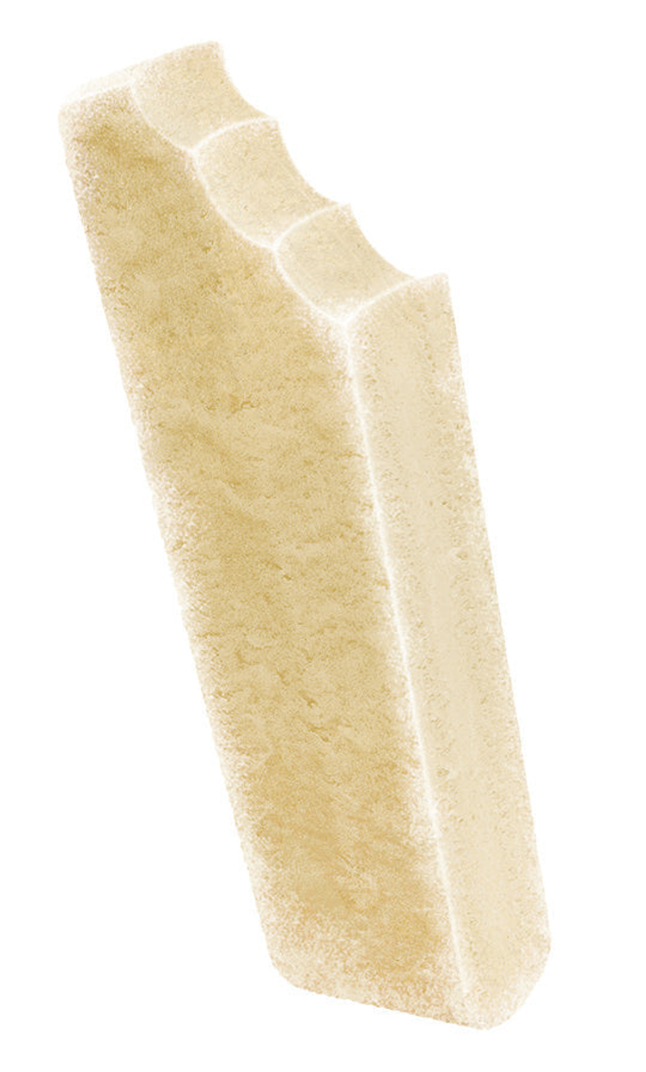 Ice Cream for Dogs! Image 1