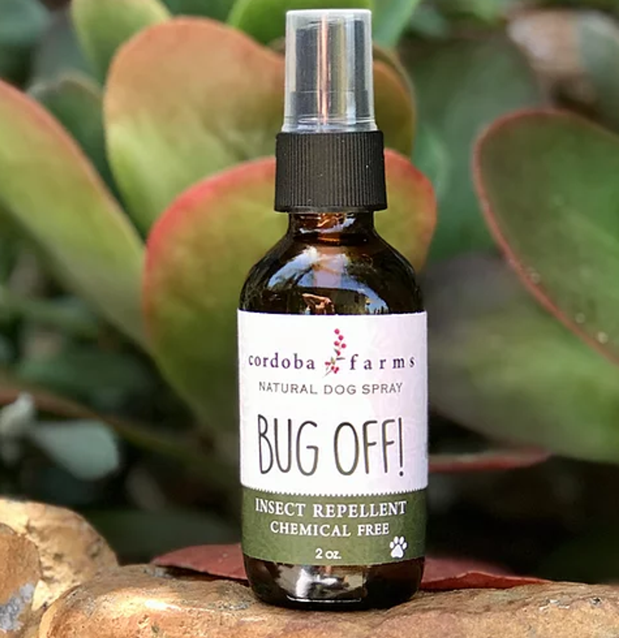 Bug Off! Spray Image 1