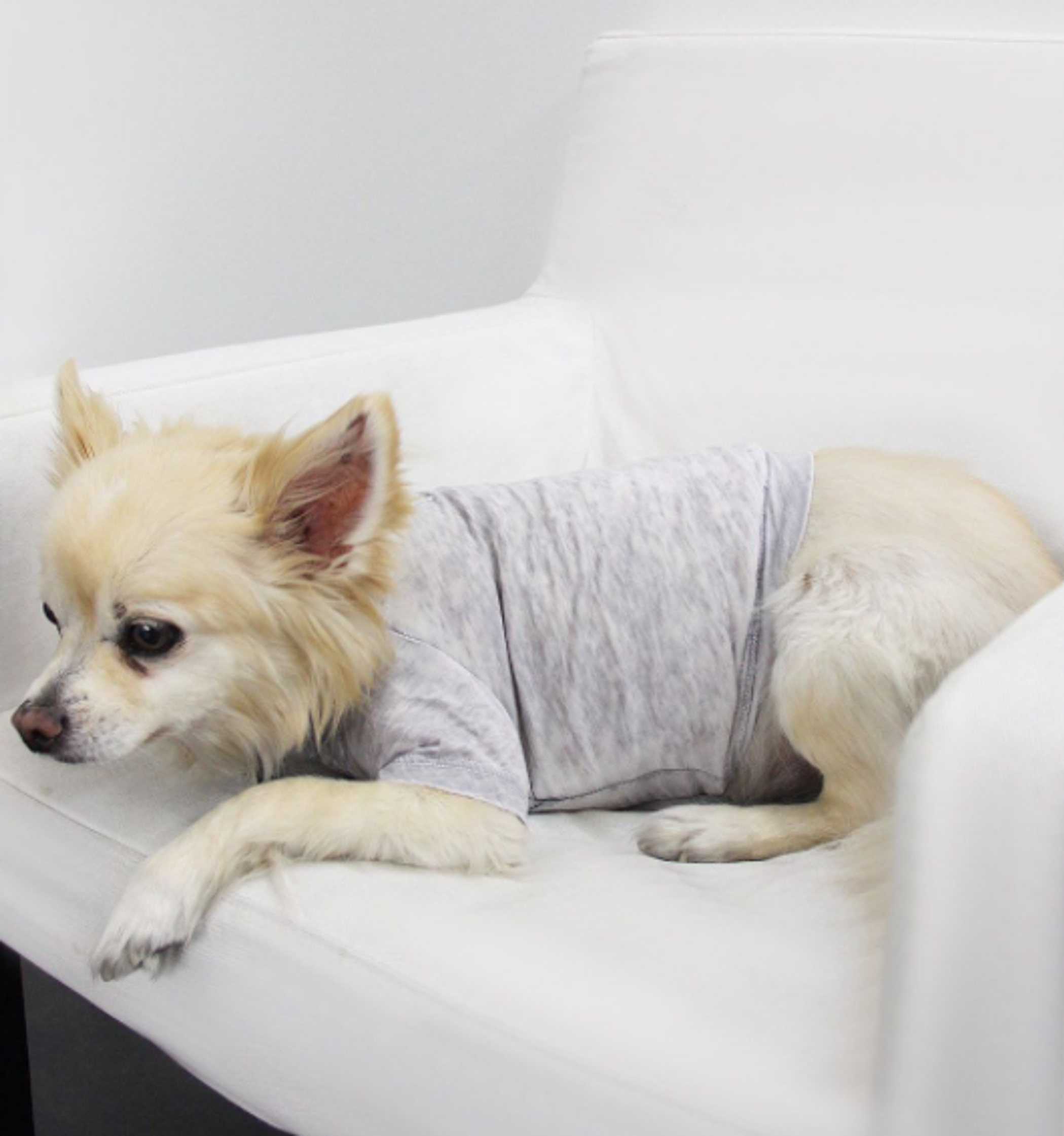 Doggy Tee Image 1