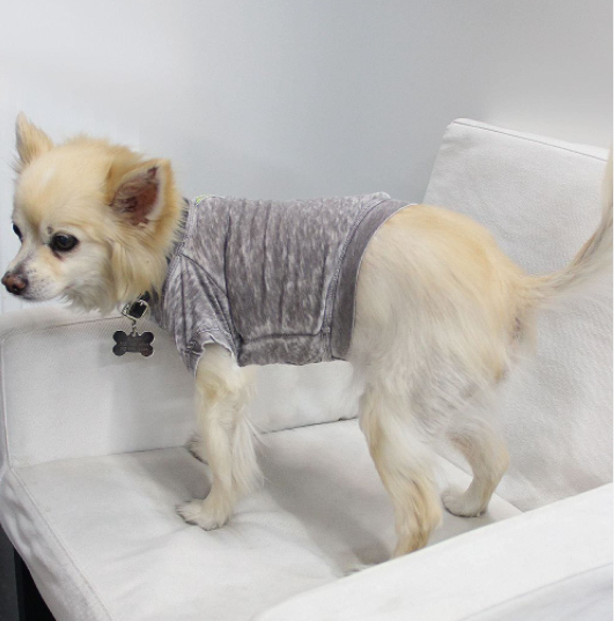 Doggy Tee Image 1