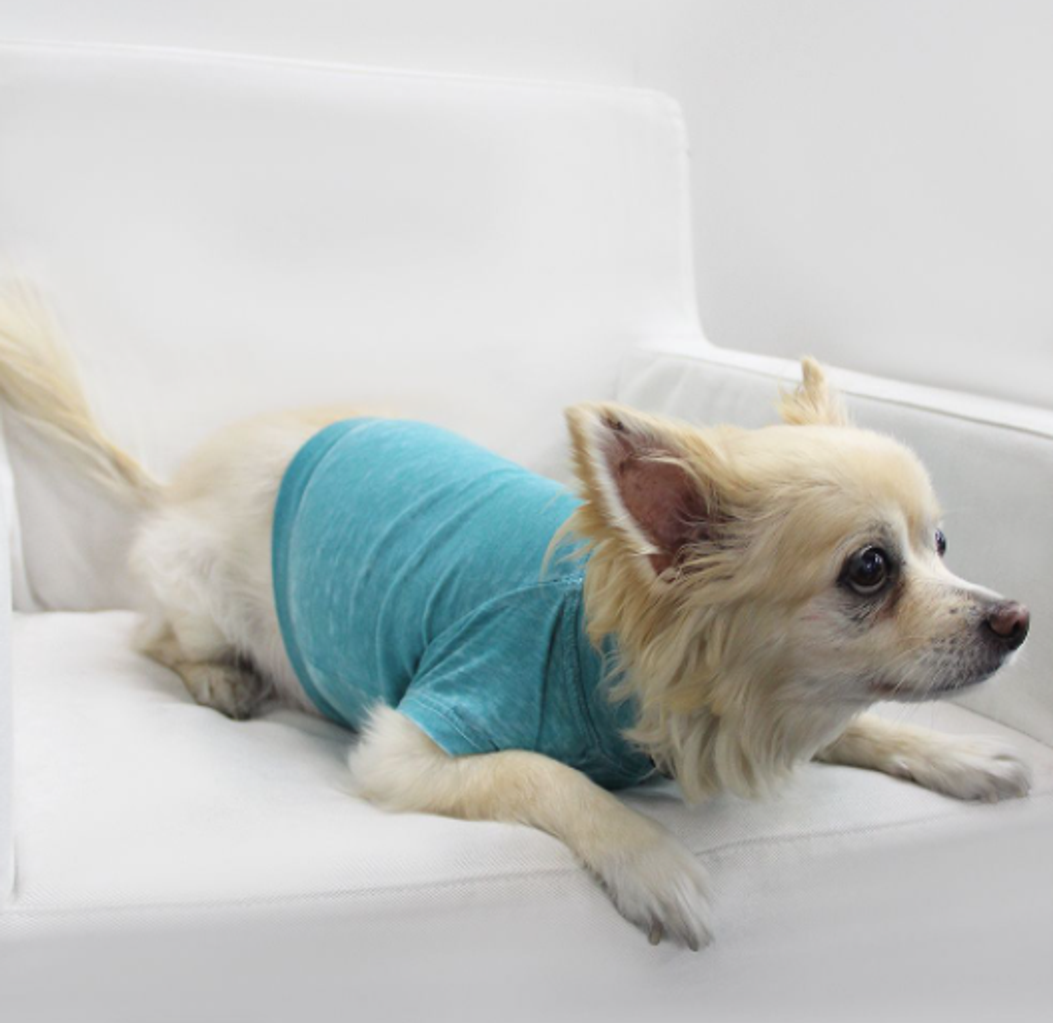 Doggy Tee Image 1
