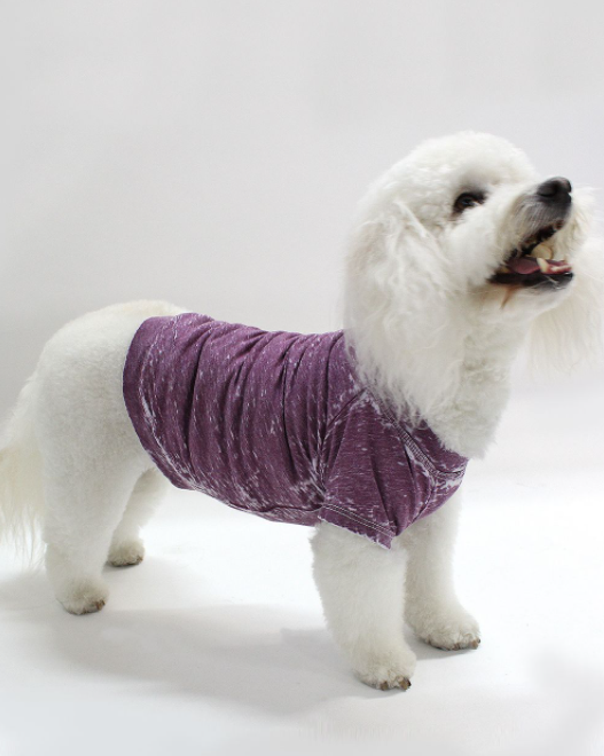 Doggy Tee Image 1