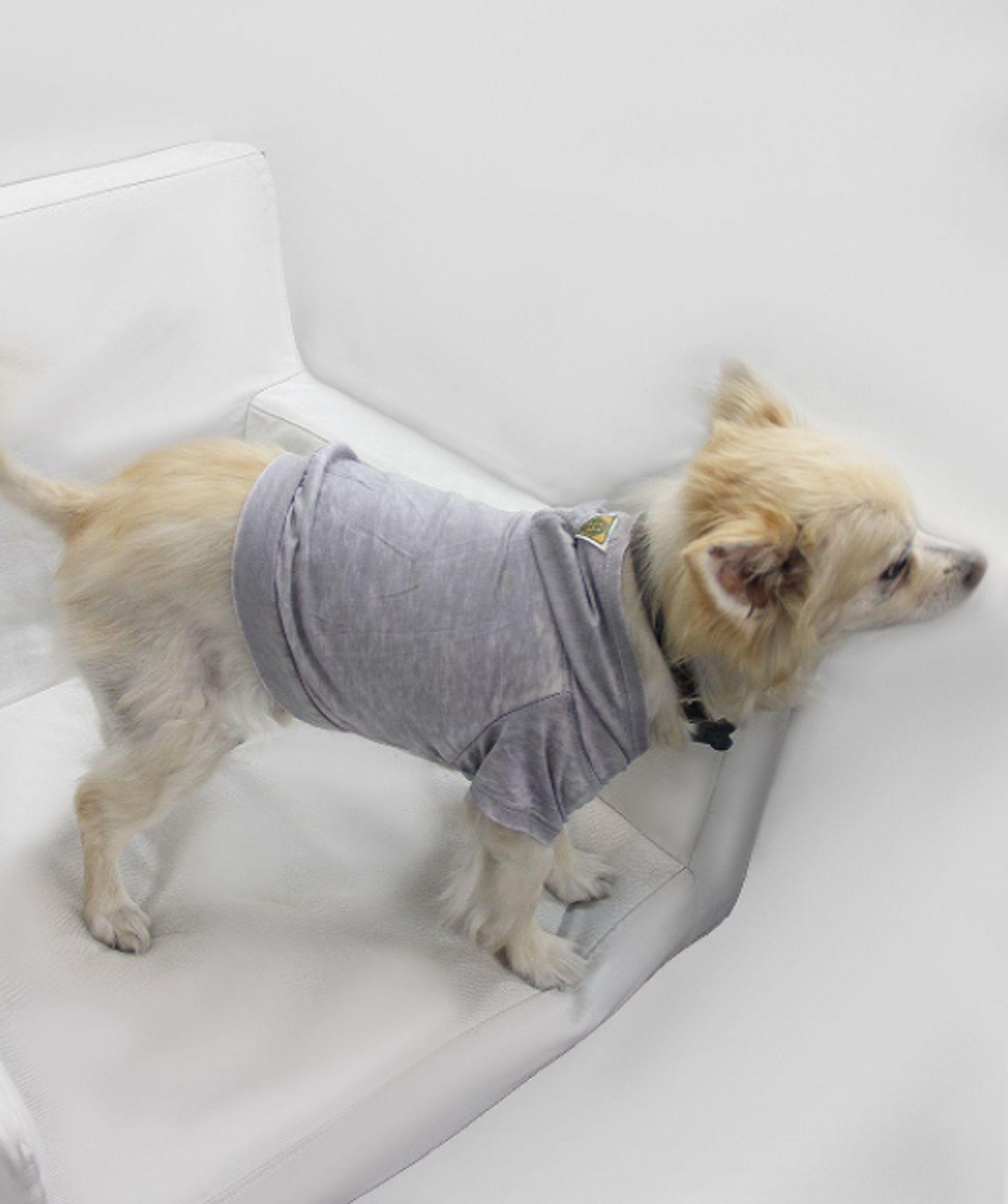 Doggy Hoodie Image 1