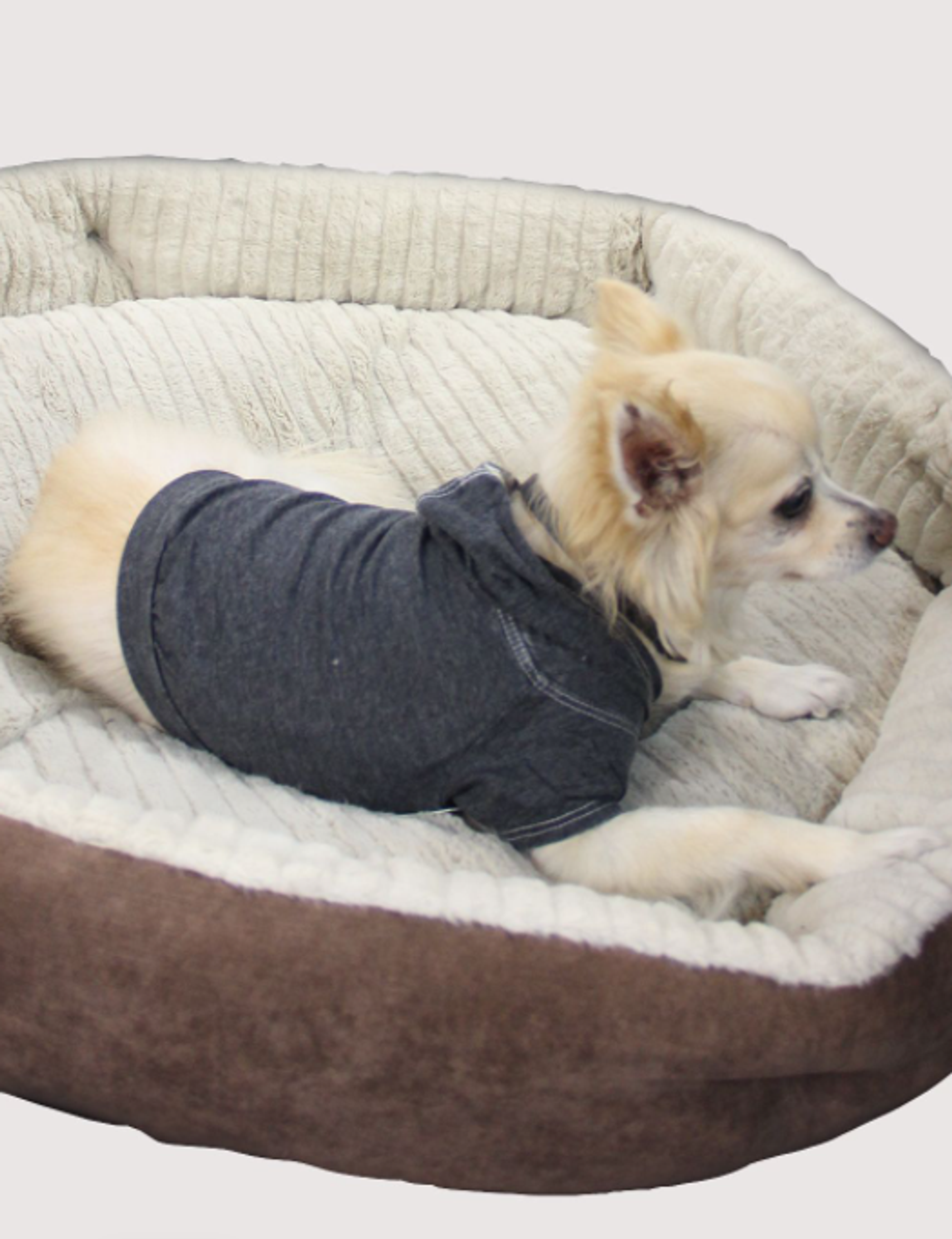 Doggy Hoodie Image 1