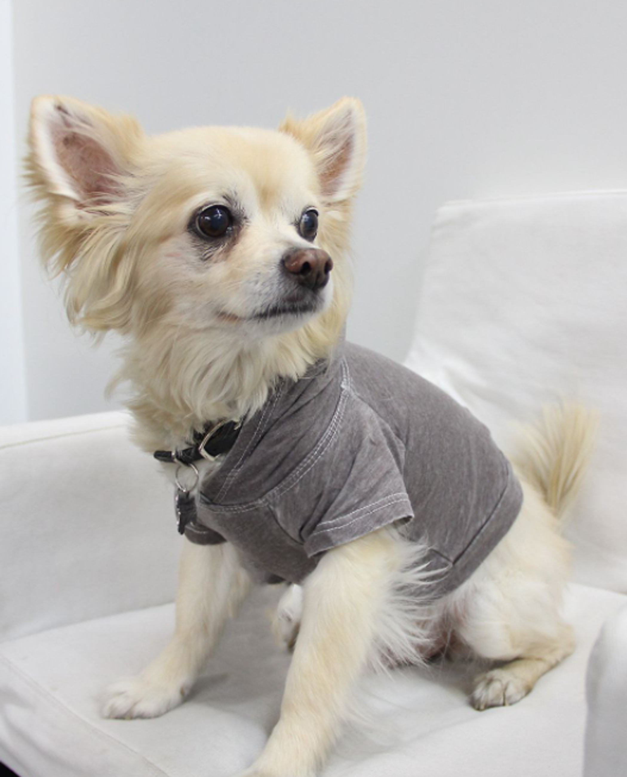 Doggy Hoodie Image 1