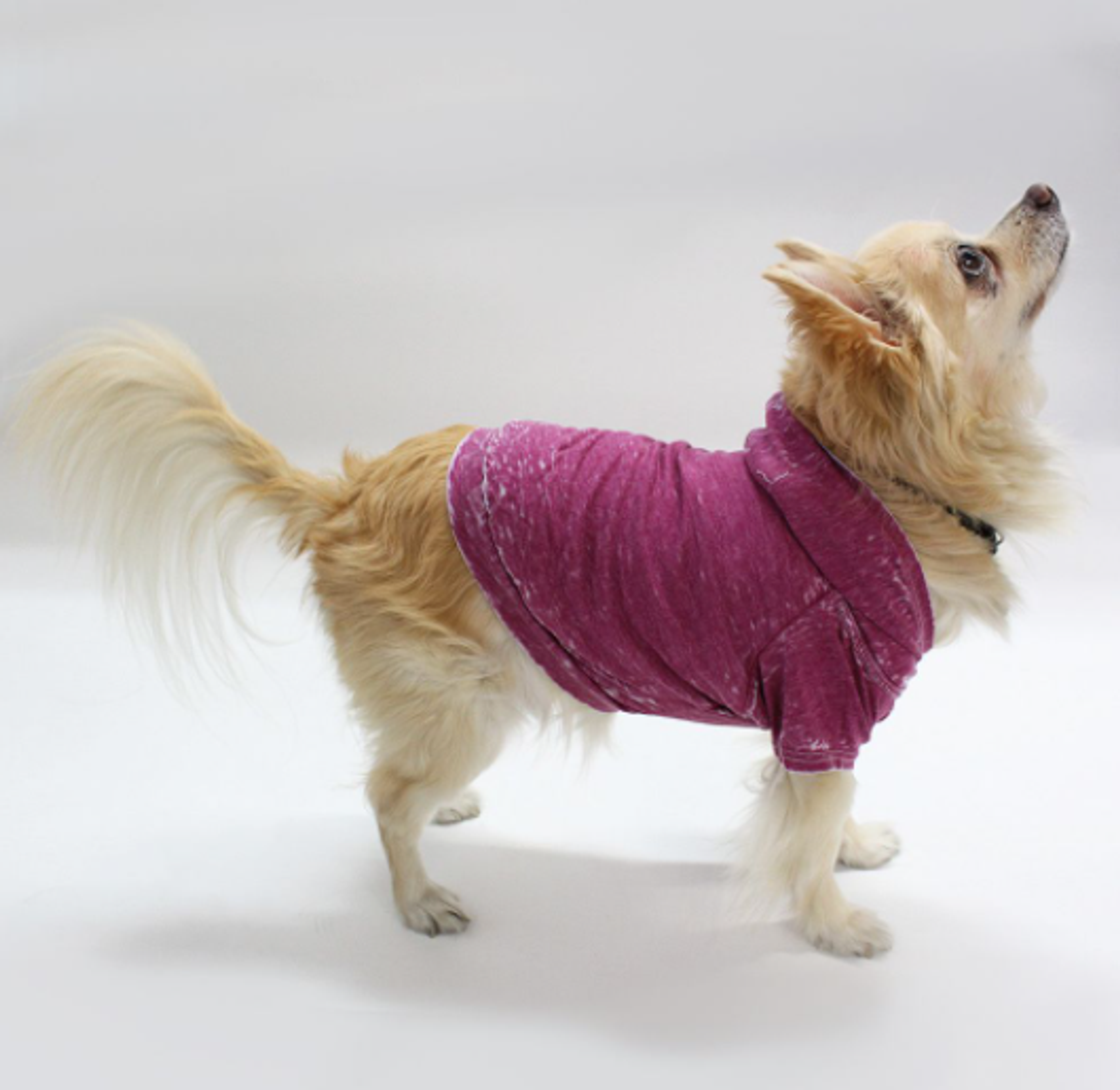 Doggy Hoodie Image 1