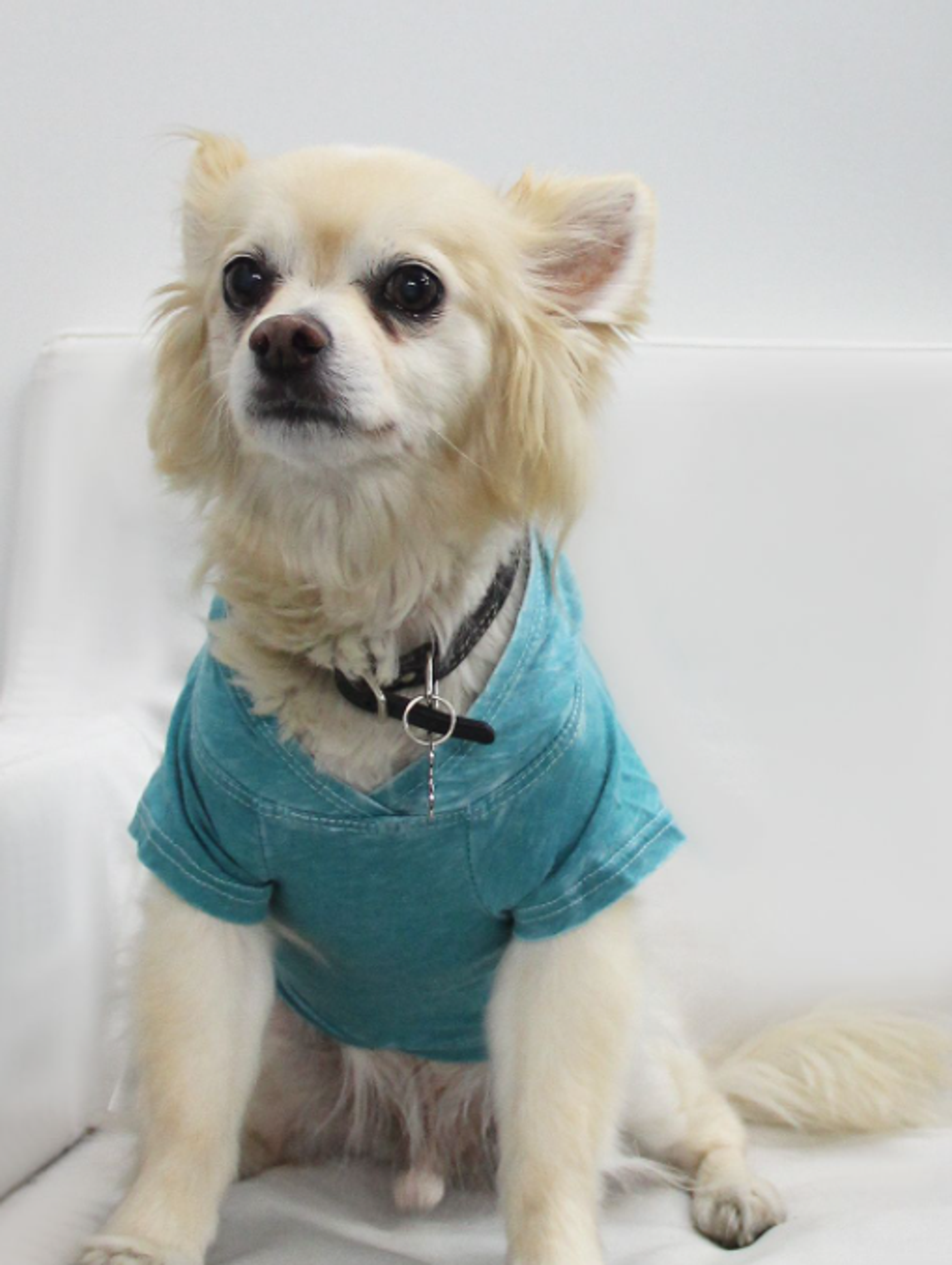 Doggy Hoodie Image 1