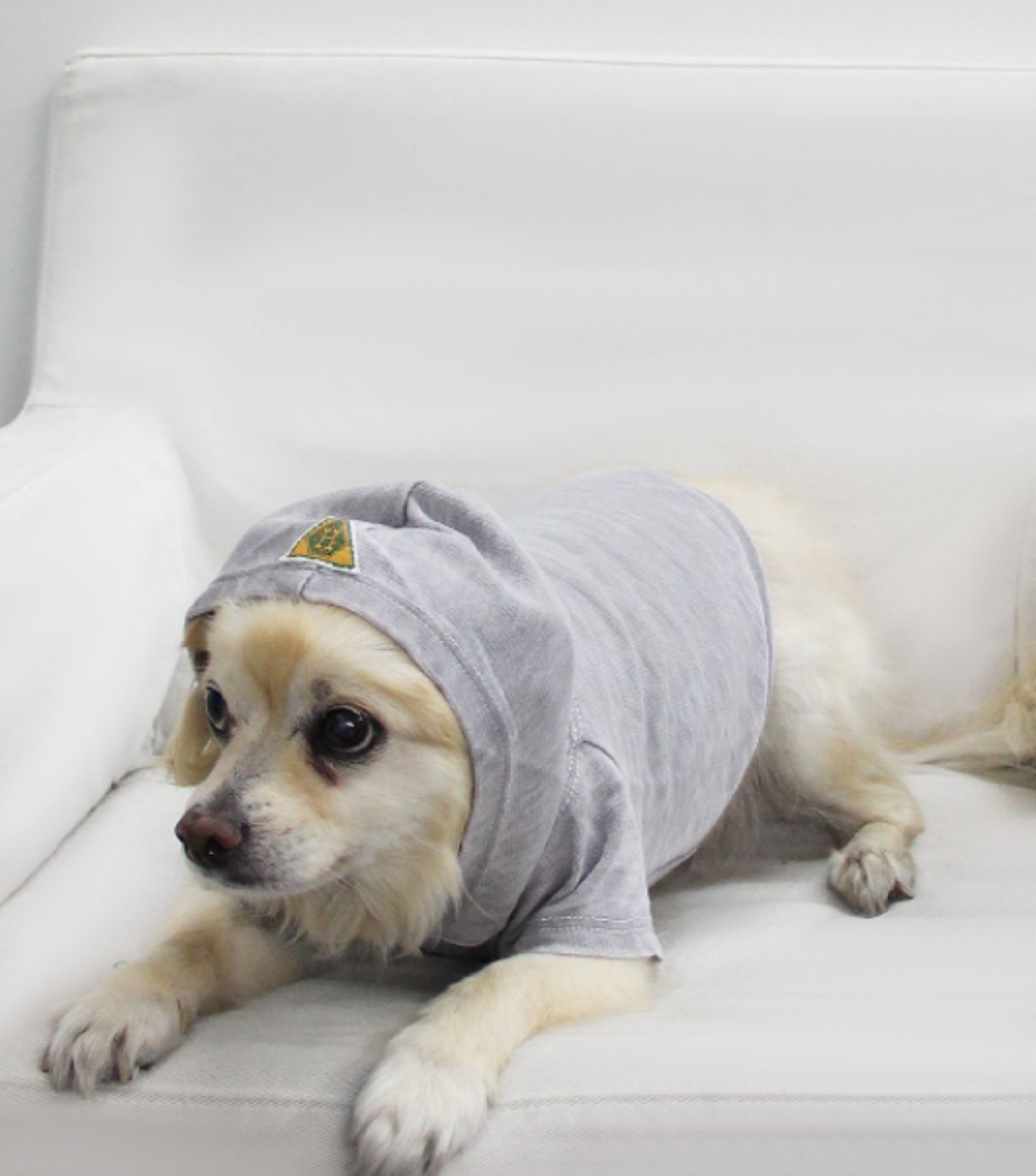 Doggy Hoodie French Terry Image 1