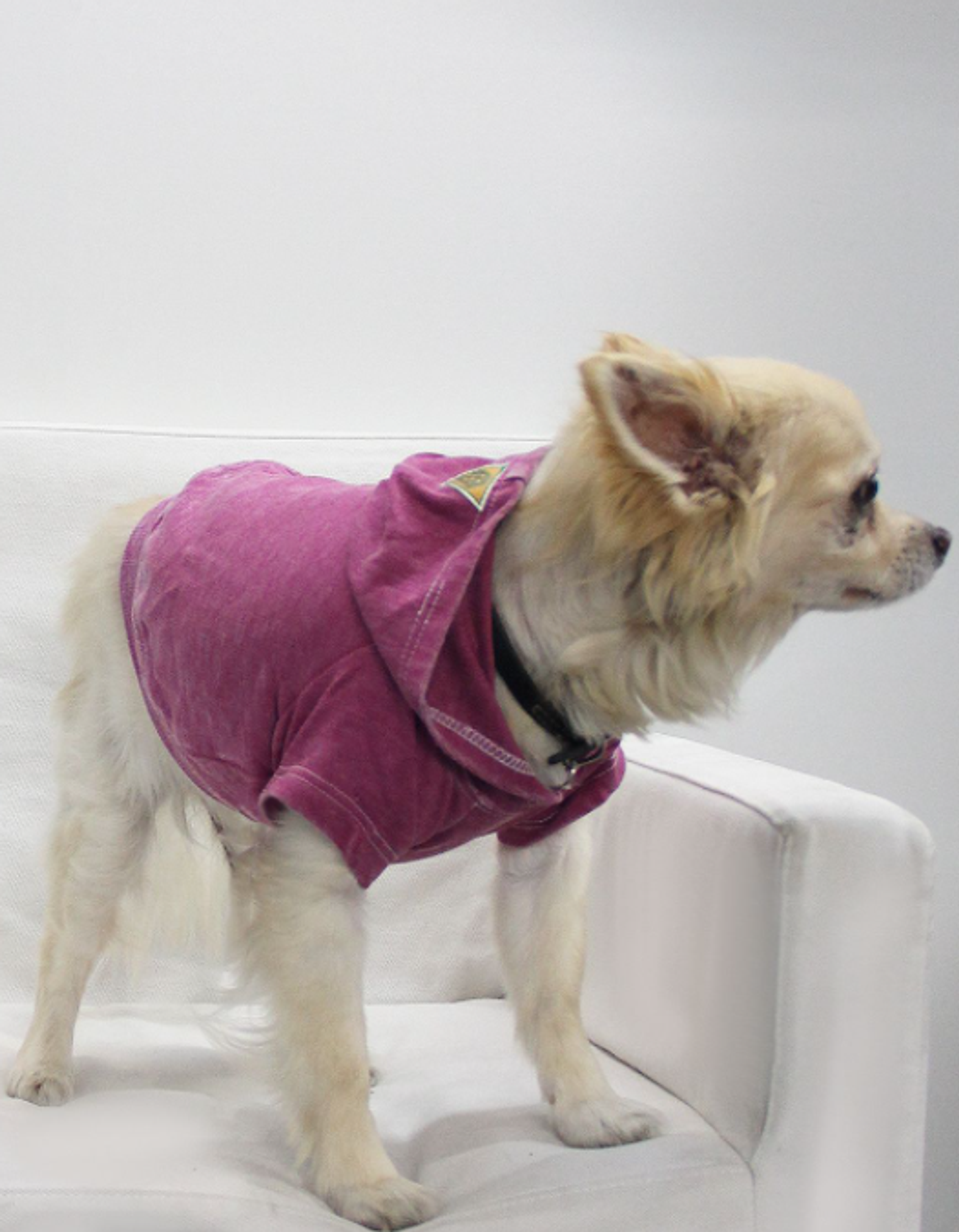 Doggy Hoodie French Terry Image 1