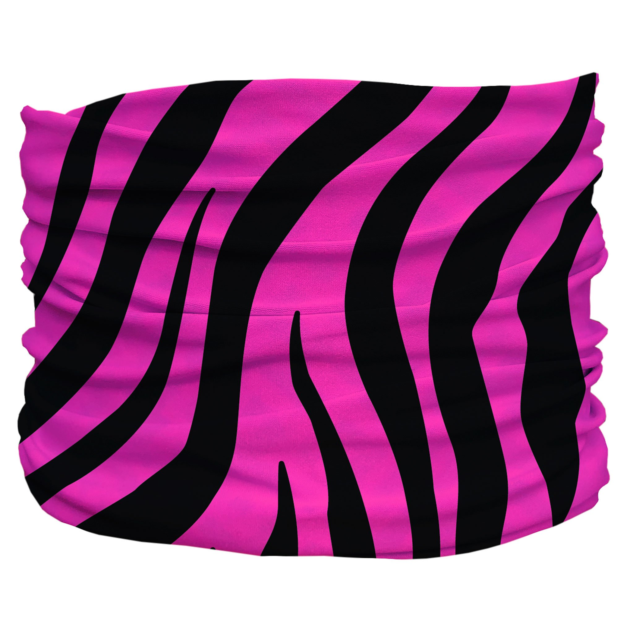 Zebra Pup Scruff Image 1