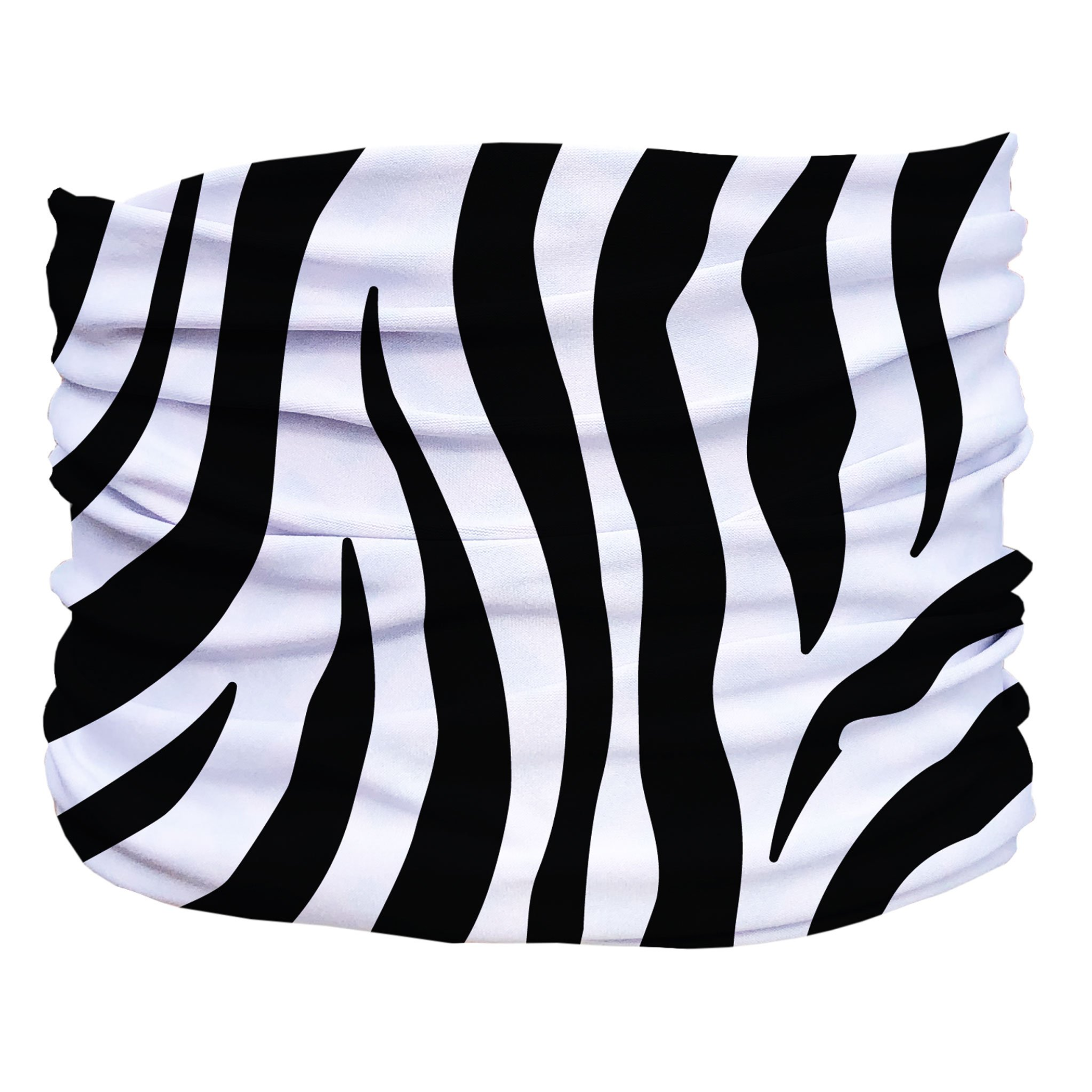Zebra Pup Scruff Image 1